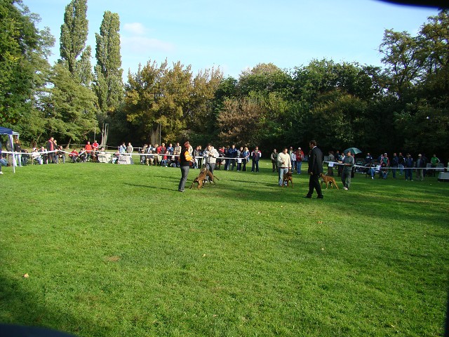 www.boxer-show.eu