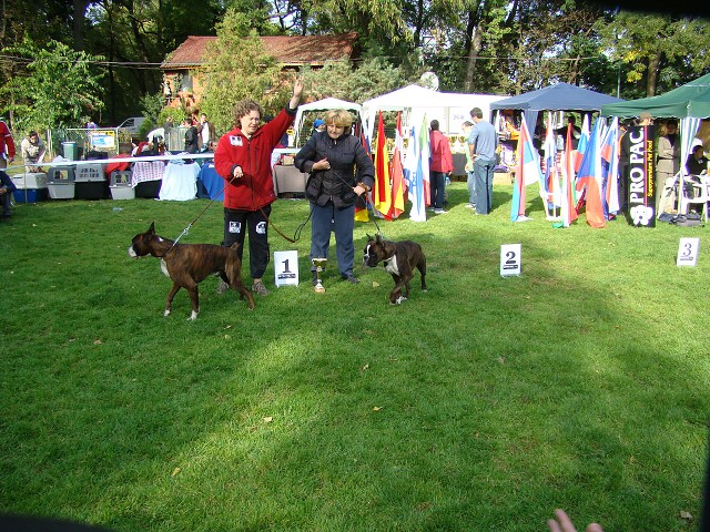 www.boxer-show.eu