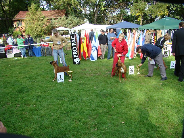 www.boxer-show.eu