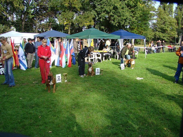 www.boxer-show.eu