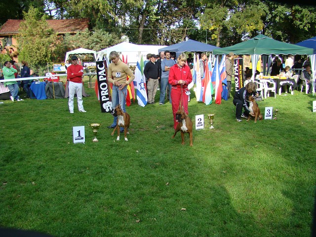 www.boxer-show.eu
