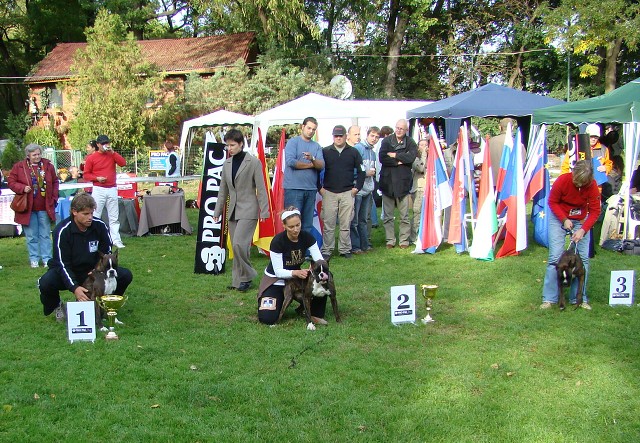 www.boxer-show.eu