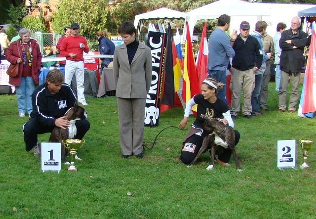 www.boxer-show.eu