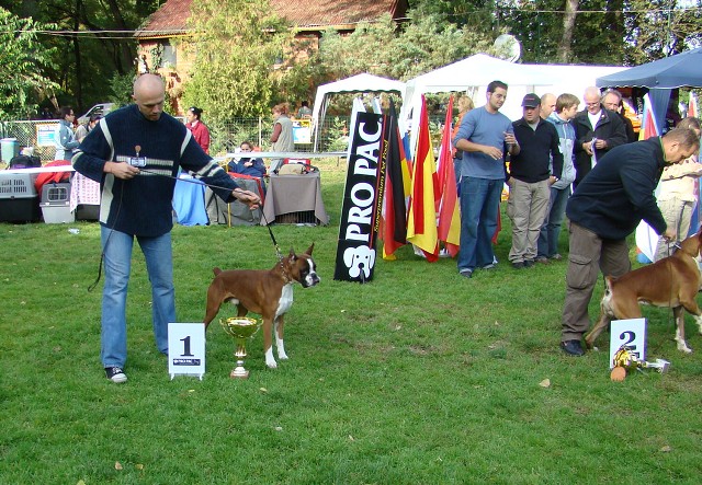 www.boxer-show.eu