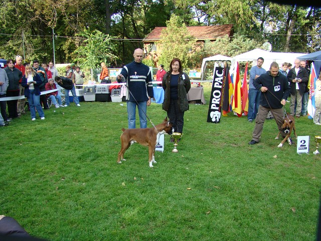 www.boxer-show.eu