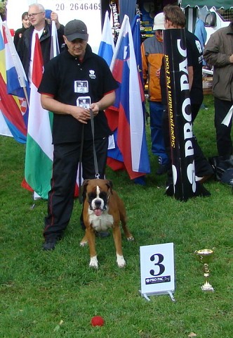 www.boxer-show.eu