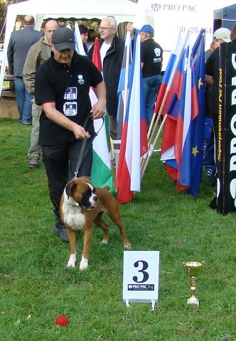 www.boxer-show.eu
