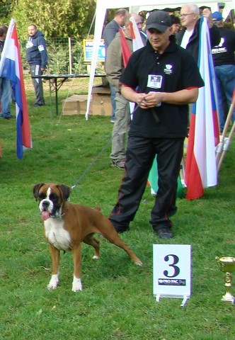 www.boxer-show.eu