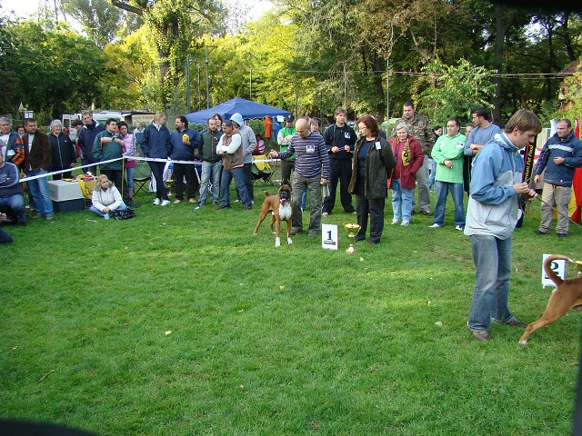 www.boxer-show.eu