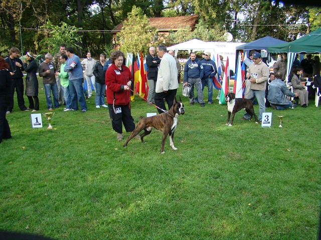 www.boxer-show.eu