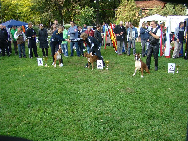 www.boxer-show.eu