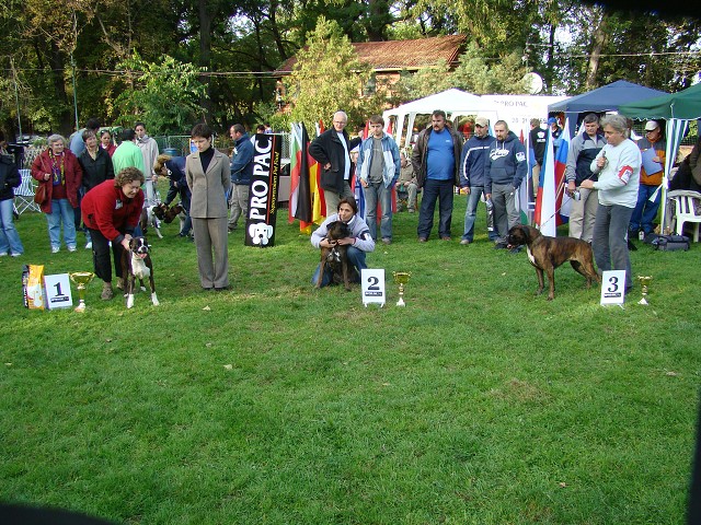 www.boxer-show.eu
