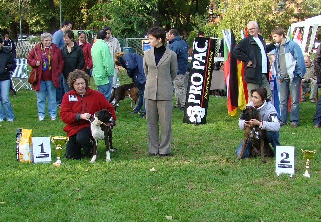 www.boxer-show.eu