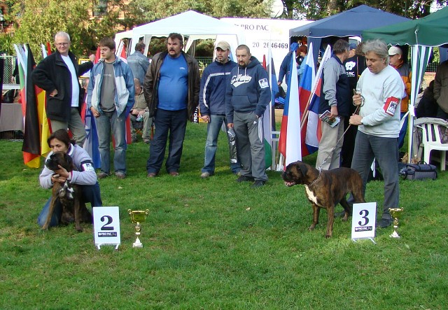 www.boxer-show.eu