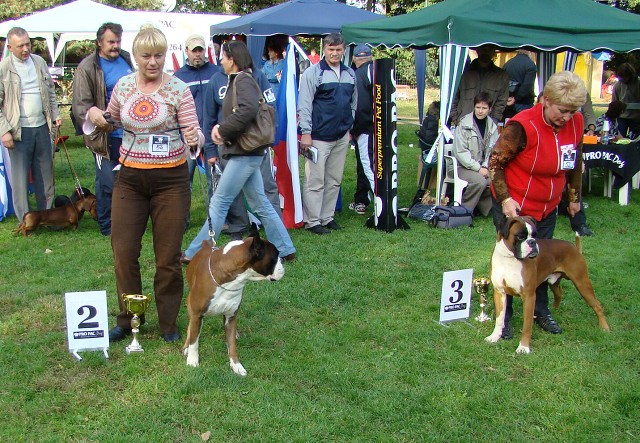 www.boxer-show.eu
