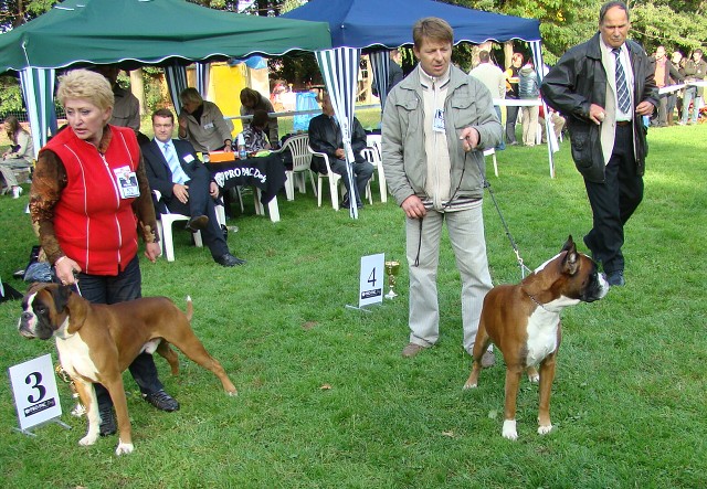 www.boxer-show.eu