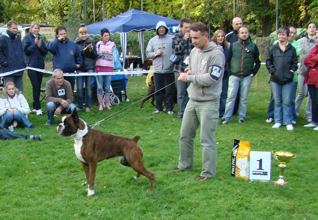 www.boxer-show.eu