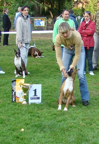 www.boxer-show.eu