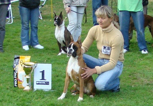 www.boxer-show.eu