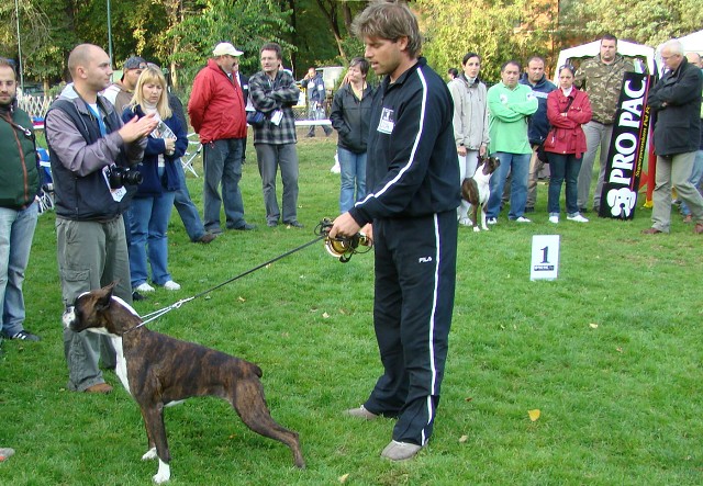 www.boxer-show.eu
