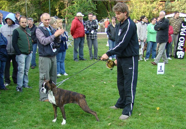 www.boxer-show.eu