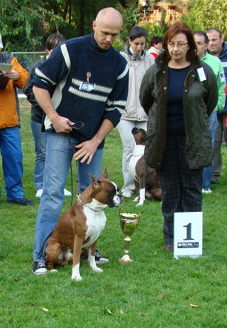 www.boxer-show.eu