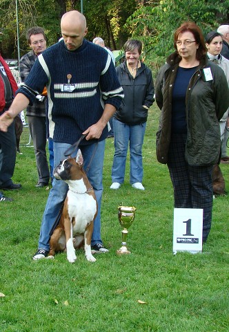 www.boxer-show.eu