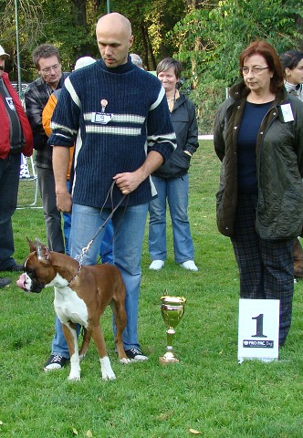 www.boxer-show.eu