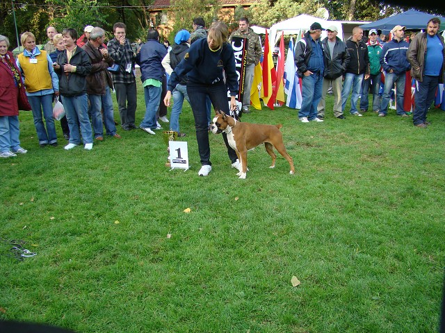 www.boxer-show.eu