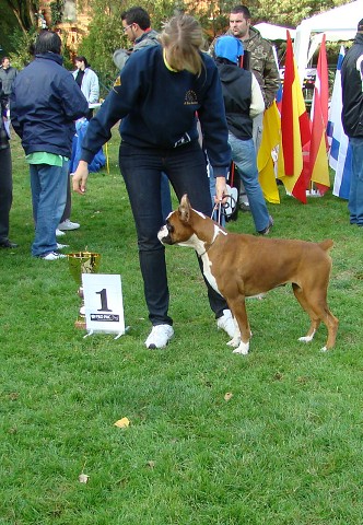 www.boxer-show.eu