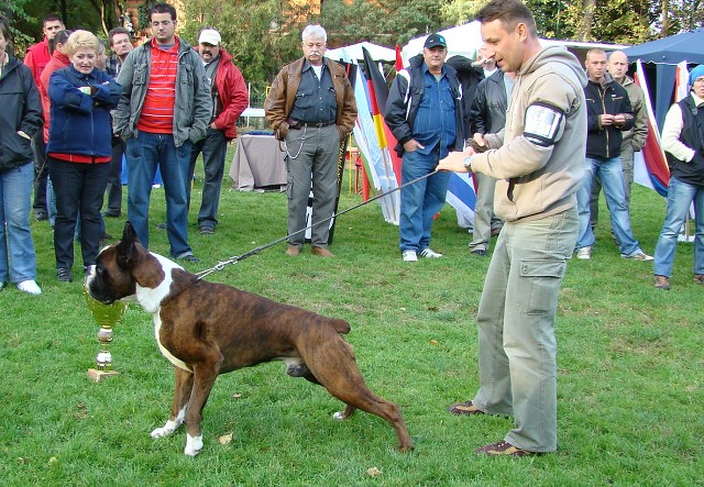 www.boxer-show.eu