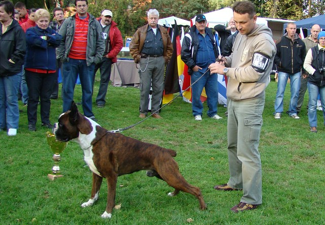 www.boxer-show.eu