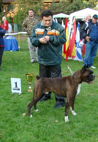 www.boxer-show.eu