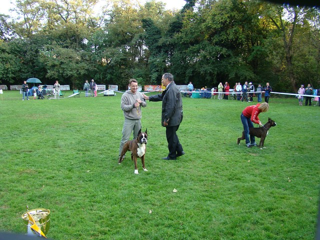 www.boxer-show.eu