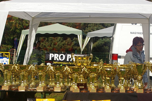 www.boxer-show.eu