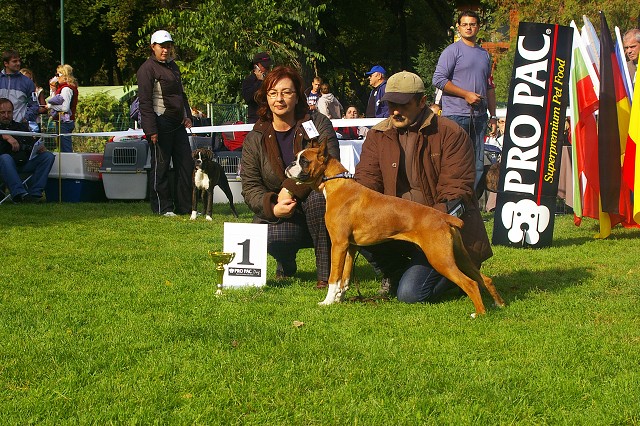 www.boxer-show.eu
