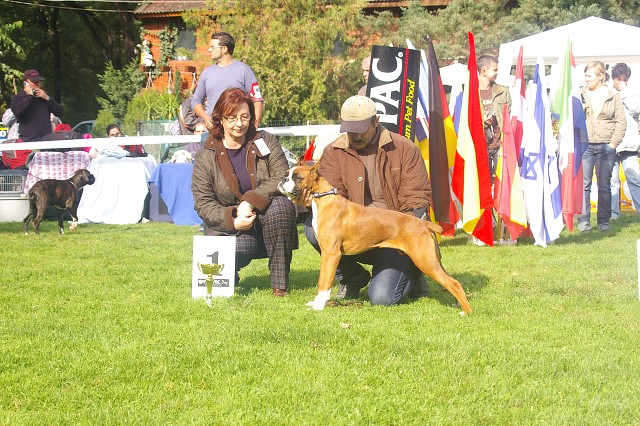 www.boxer-show.eu