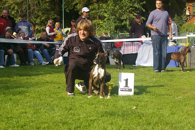 www.boxer-show.eu