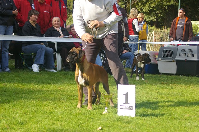 www.boxer-show.eu