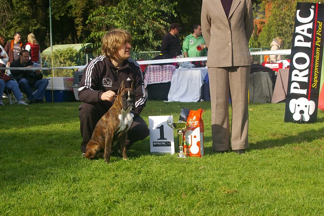 www.boxer-show.eu