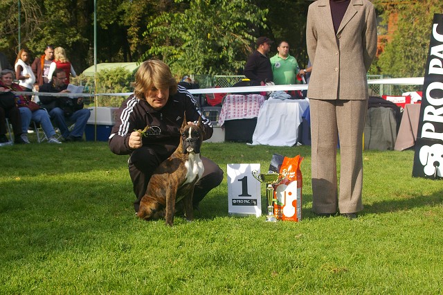 www.boxer-show.eu