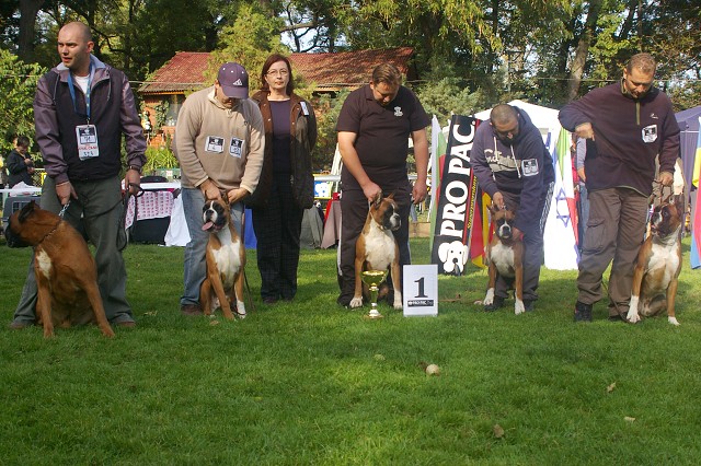 www.boxer-show.eu