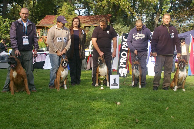 www.boxer-show.eu