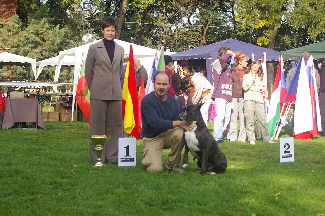 www.boxer-show.eu