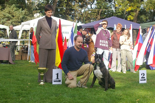 www.boxer-show.eu
