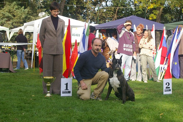 www.boxer-show.eu
