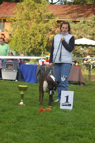 www.boxer-show.eu