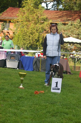 www.boxer-show.eu