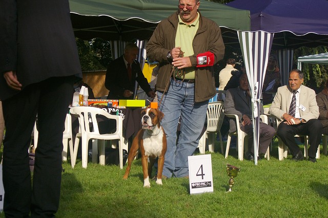 www.boxer-show.eu