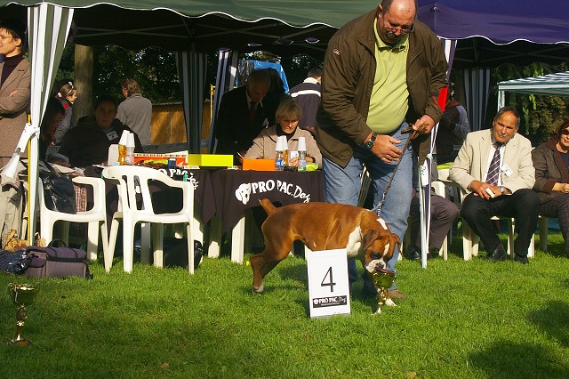 www.boxer-show.eu